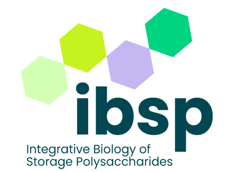 IBSP universite lille